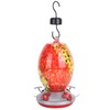 Hummingbirds Water Feeder Colorful Painting Glass Bird Feeding Tool for