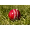 Zipper Leather Cricket Ball Senior Match Quality Hand Stitched Balls