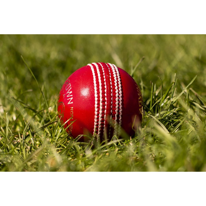 Zipper Leather Cricket Ball Senior Match Quality Hand Stitched Balls
