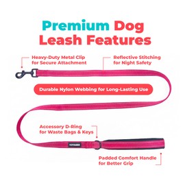 Best Pet Supplies Voyager Reflective Dog Leash or Collar with Neoprene Handle, for Small, Medium, and Large Breed Puppies, Cute and Heavy Duty for Walking, Running and Training - Fuchsia (Leash), M