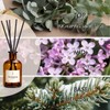 Reed Diffuser Set, 8.12 fl.oz Eucalyptus Scented Diffuser with Sticks,