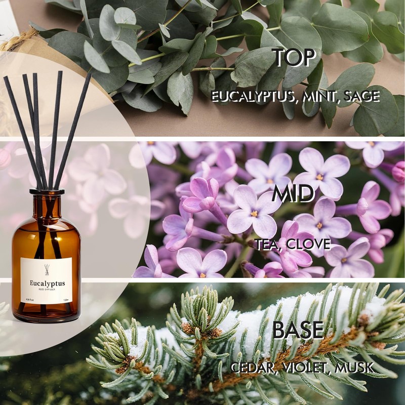 Reed Diffuser Set, 8.12 fl.oz Eucalyptus Scented Diffuser with Sticks,