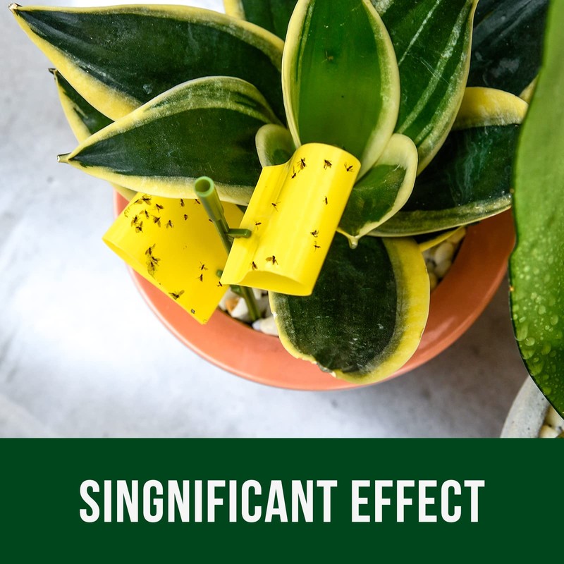 Garsum 21 Traps Sticky Houseplant Traps Gnat Yellow Insect Trap