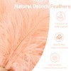 MehelloFeather Ostrich Feather Duster 12 Inch Feather Duster Fluffy Natural