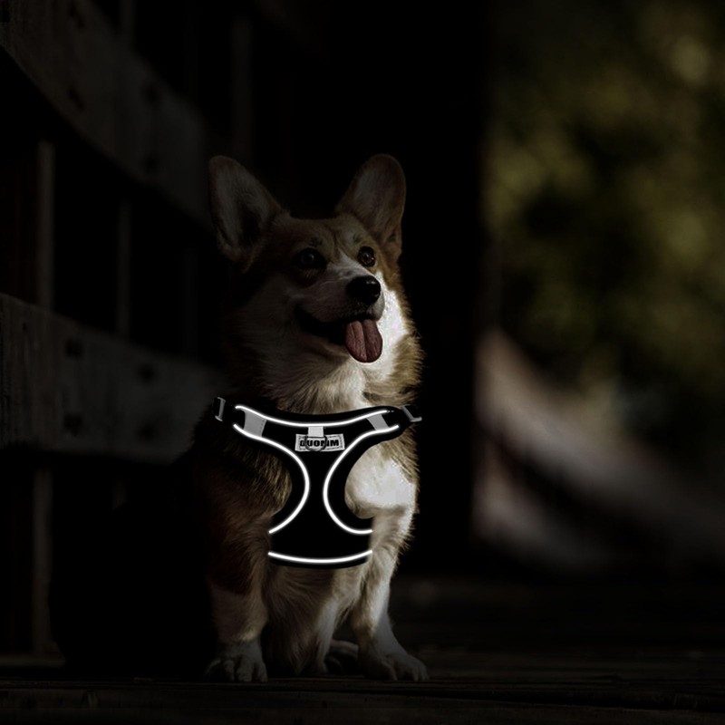 RAFIYU Dog Harness Medium Breathable Vest, Step-in Cat Puppy Harness