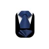 HISDERN Ties for Men Wedding Tie with Pocket Square Set