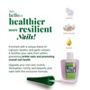 Amen Beauty I On Nails: Ultimate Nail Strengthener, Growth &