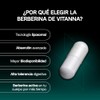 Vitanna Berberina Liposomal 500 mg (Berberis aristata)