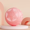 Gravity Intelligent Rolling Ball Interactive Pet Toy Ball Self Propelled