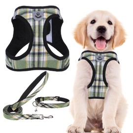 PUPTECK Adjustable Dog Harness Collar and Leash Set Step in No Pull Pet Harness for Small Medium Dogs Puppy and Cats Outdoor Walking Running, Soft Mesh Padded Reflective Vest Harnesses, Grn&YLW, XS