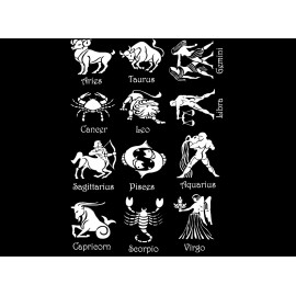 Captive Decals Astrology Zodiac Signs 12 pcs 1 Inch White Fused Glass Decals