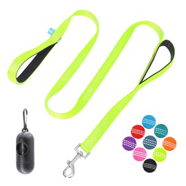 BAAPET Two Handle Dog Leash, Dual Soft Padded Handles with Traffic Control Handle Leash for Small Medium or Large Dogs (3/4'' x 5 FT, Green)