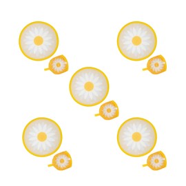 Fisura – Round Folding Fan. Original Foldable Hand Fan. Foldable Frisbee. Single Unit. Portable Fan for Parties. Measures: 20 centimetres. (Margarita, 5 pieces)