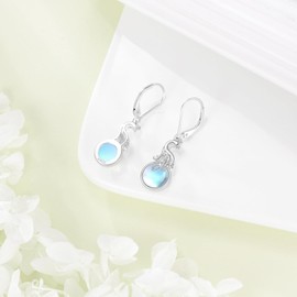 ZPMMPZ Peacock Earrings 925 Sterling Silver Animal Dangle Earrings Moonstone Jewelry Gifts for Women