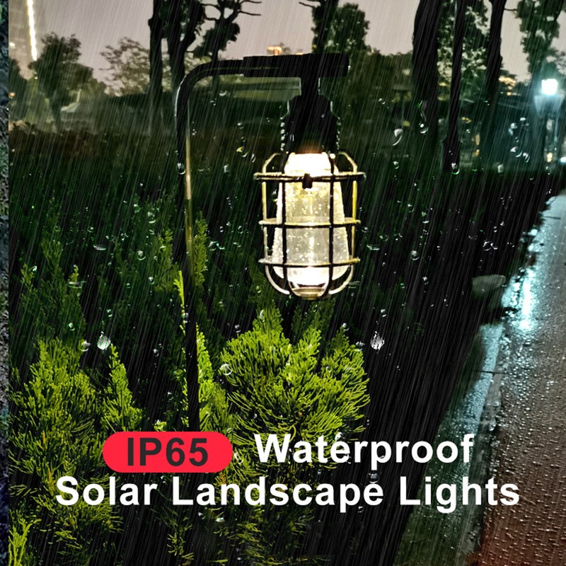 Outdoor Solar Lights Warm White Solar Powered Landscape Lights IP44