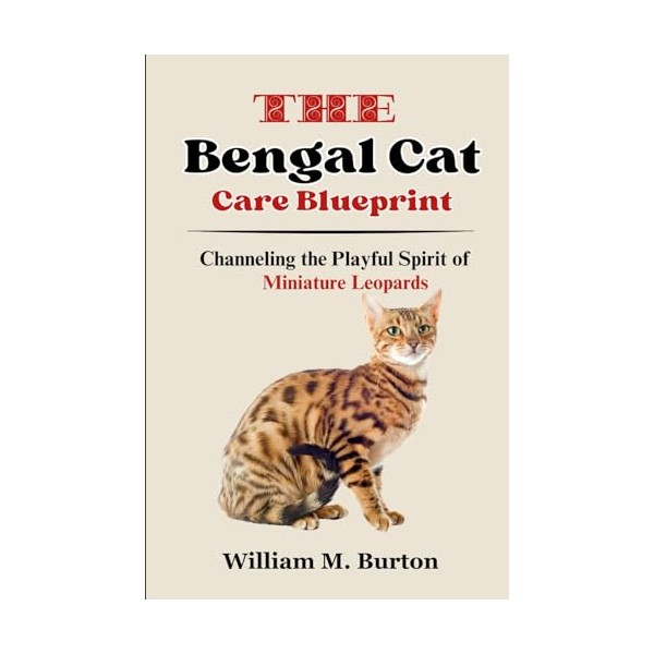  The Bengal Cat Care Blueprint: Channeling the Playful Spirit