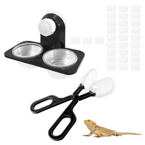 WORUIB 3in1 Gecko Accessories Set, Reptile Feeding Tongs, Food Bowl,