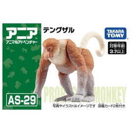 Takara Tomy Ania AS-29 Proboscis Monkey Animal Dinosaur Realistic Moving Figure Toy Ages 3 and Up Pass Toy Safety Standards ST Mark Certified ANIA TAKARA TOMY
