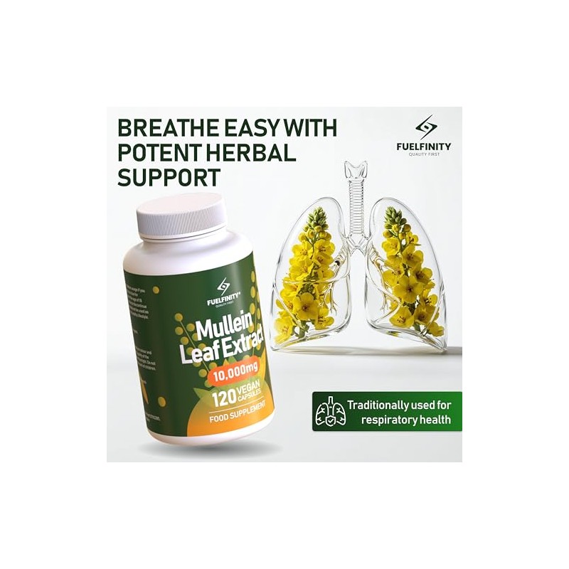 Mullein Leaf Extract for Lungs - 10,000 mg – Lung