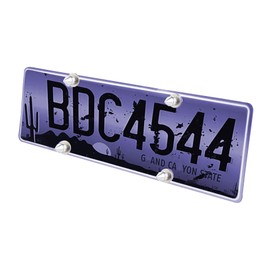 Lunsom License Plate Screws Kit, 4 Pack Spike Fastener Metal Car Tag Screws License Plates Frames Bolt Kit with Nut,Washer, Gasket,Bolt(Silver)