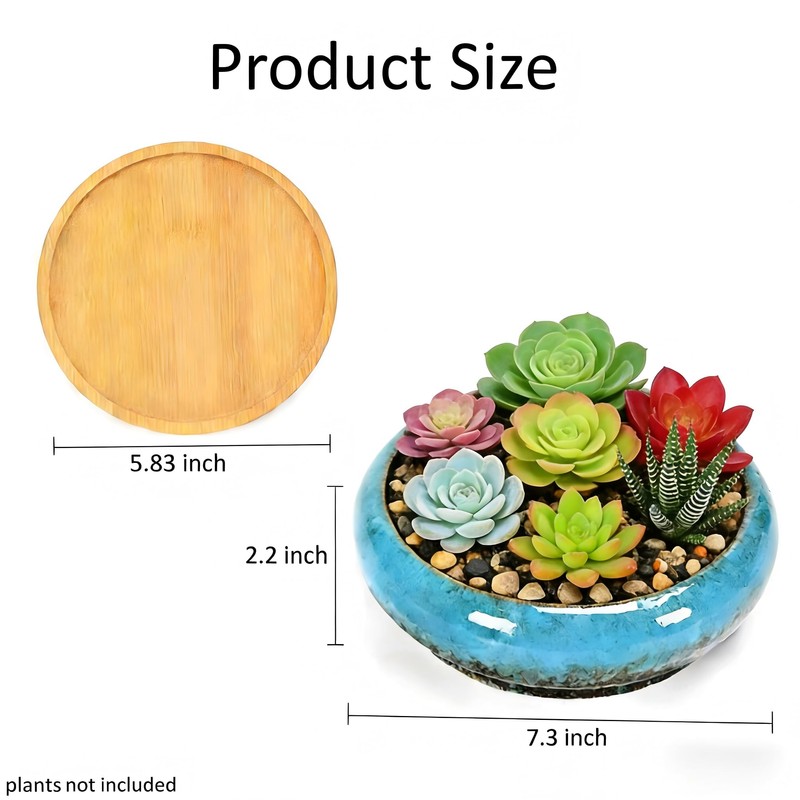 Succulent Pots, 7.3 Inch, Round Large Shallow Flower Plant Pots