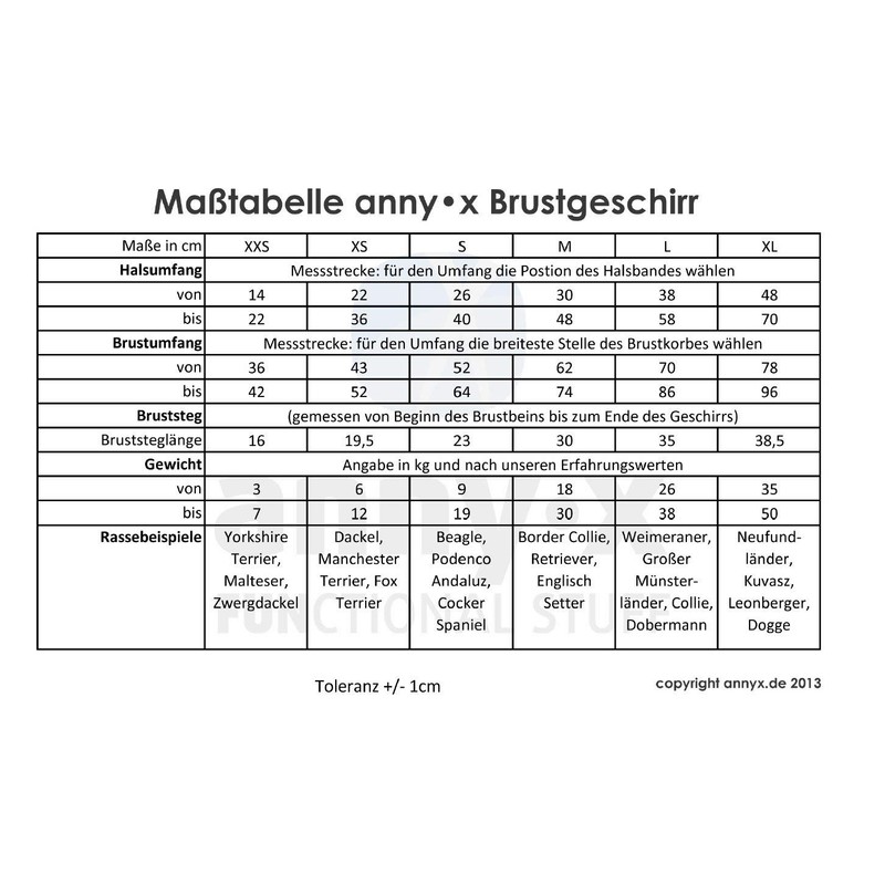 anny-x Fun Chest Harness Brown Amber Size L Approx. 26-38