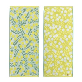 Imabari Towel Iori Mimosa Face Towel (White)