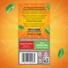Twinings Pure Oolong Tea Individually Wrapped Bags, 20 Count (Pack