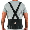 Ergodyne Proflex, Estándar Cinturón Elástico Soporte de la Espalda, Color