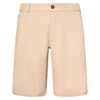 Oakley Man Performance 5 Utility Shorts 2.0, Brown