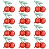 12 pcs 20Inch Red Cherry Balloons，Cherry Theme Birthday Party Decorations，Summer