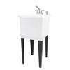 Space Saver Utility Sink by JS Jackson Supplies, Pull-Out Faucet,