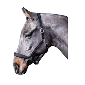 John Whitaker Ready To Ride Headcollar Black: extra full