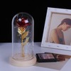 Rose in Glass Dome Lucky Beautiful Symbolism Romantic Enchanted Rose