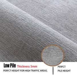 Ceneco Grey Rugs Living Room, Short Pile Rugs for Bedroom, Washable Thin Rug, Non Slip Small Mat, Square Kids Rug,Low Pile Area Carpet for Lounge Bedside Kitchen Office(Grey, 60×90cm)