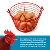 Prevue Pet Products 8 Inch Red Vinyl Coated Metal Egg