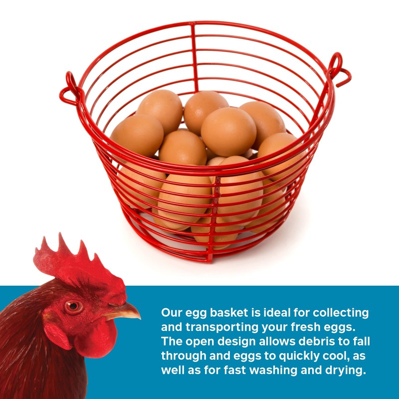 Prevue Pet Products 8 Inch Red Vinyl Coated Metal Egg