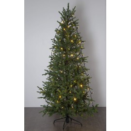 Outdoor Fairy Lights System 24