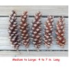 Unbranded Eastern White Pine Cones Natural Pinecones DIY Decor Project