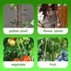Plant Clips, 100 Pieces Small Plant Clips, Tomato Clips, Reusable
