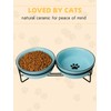 GDCZ Ceramics Raised Cat Bowls with Heighten Metal Stand,15 Ounces