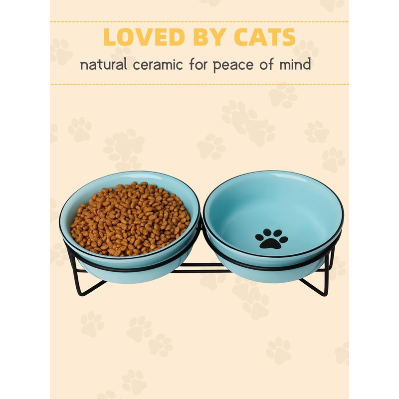 GDCZ Ceramics Raised Cat Bowls with Heighten Metal Stand,15 Ounces