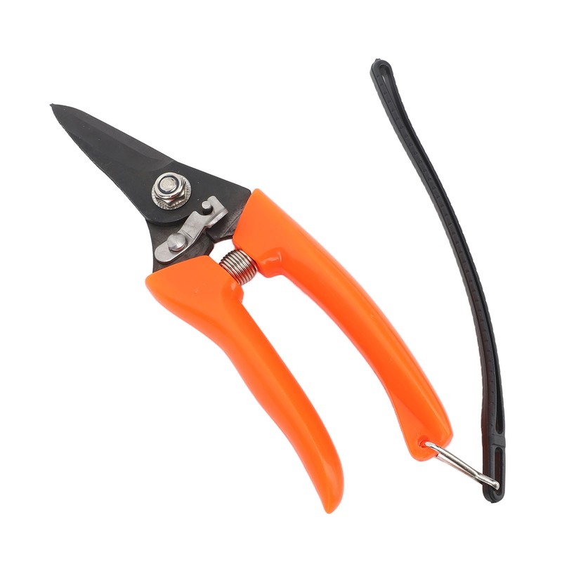Hoof Shear Red Stainless Steel High Carbon Steel Multifunctional Hoof