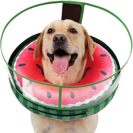 Didopet Inflatable Dog Cone, Watermelon Donut Collar After Surgery, Donut Cone with Detachable Anti-Licking Shield, Soft Recovery Collar for Large Medium Pets Does Not Block View