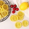 RDNKVB Pack of 10 Artificial Lemon Slices Plastic Fake Lemon