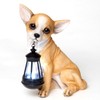 Bits and Pieces - Dog Solar Lantern Statue - Solar
