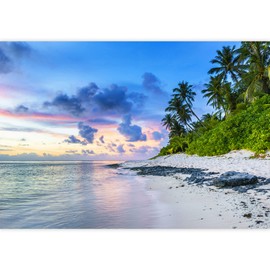 SIGNFORD Removable Wall Sticker/Wall Mural Pastel Sunset Palm Tree Island Beach Nature Wilderness Photography Realism Rustic Landscape Decorative Panorama for Living Room, Bedroom, Office - 66"x96"