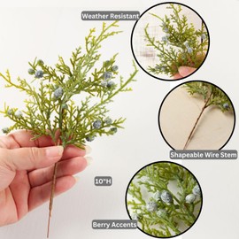 Factory Direct Craft Pack of 6 Artificial Juniper Cedar Sprays with Berries - Christmas Greenery Picks for Winter Indoor or Outdoor Holiday Decorations (10 Inches)