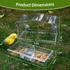 Window Bird Feeder with Strong Suction Cups - Clear Acrylic