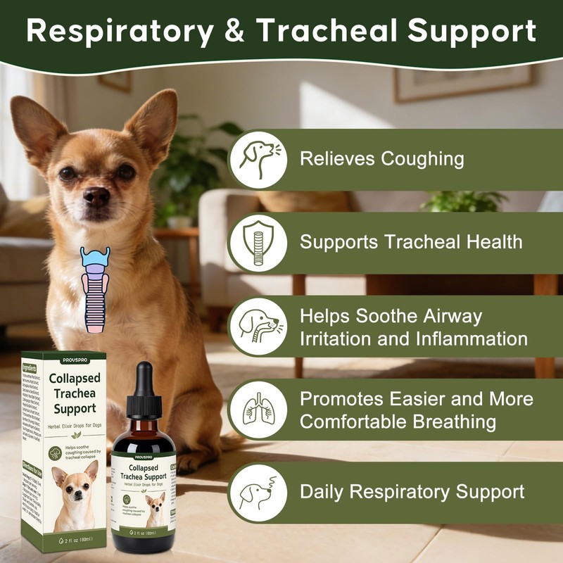 Trachea Cough Elixir, Collapsed Trachea Support for Dogs, Tracheal &